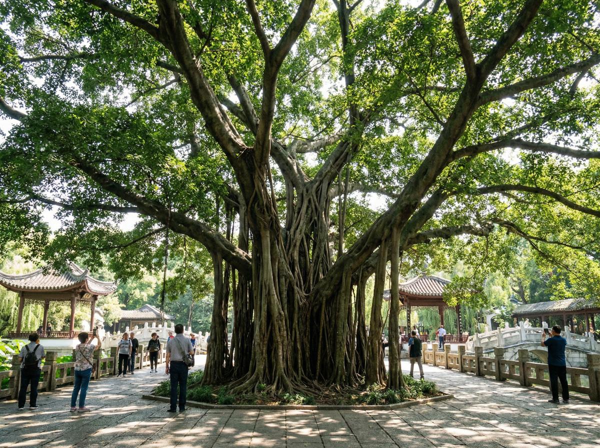 大象传媒社区顾问王雅琴